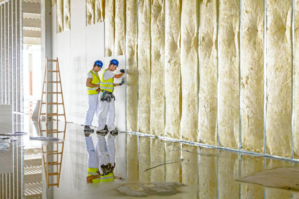 Best Insulation Installation Services in Marengo, IL